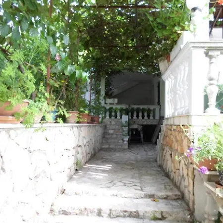 Miodrag *