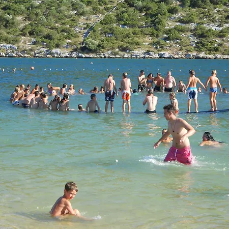 Lejlighed Miodrag Podglavica