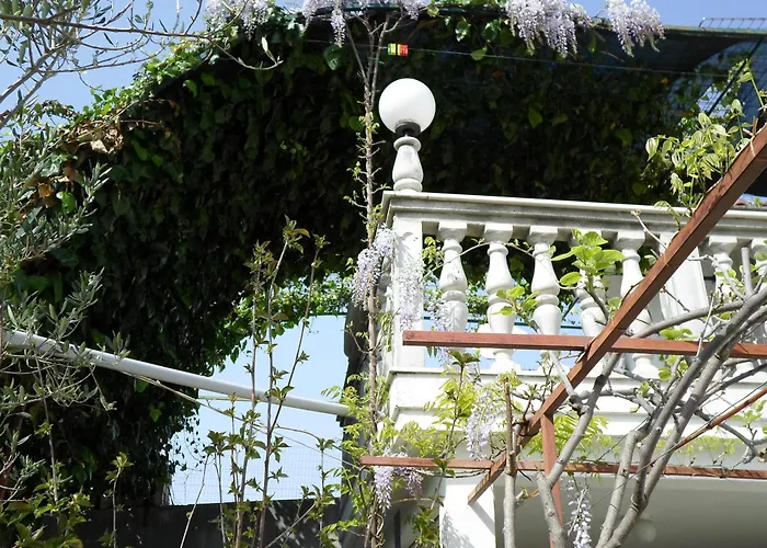 Miodrag * Podglavica